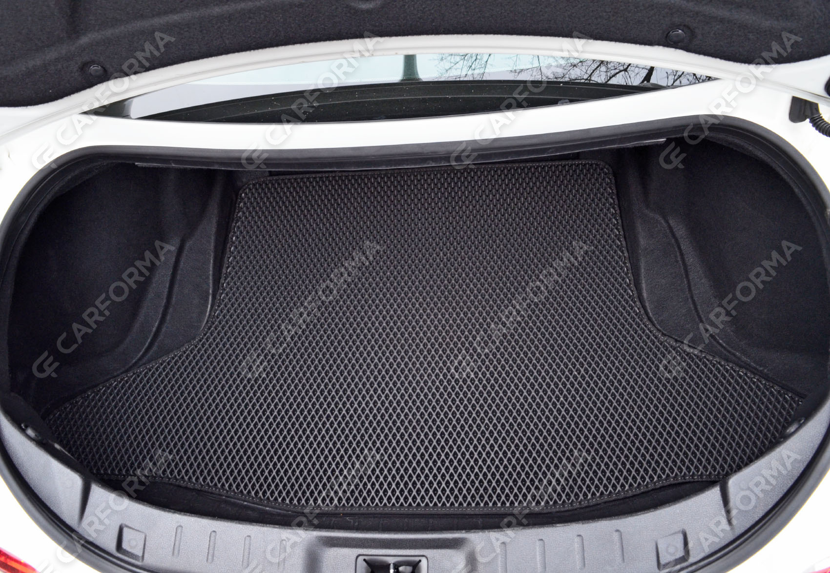 Коврики на Nissan GT-R 2007&nbsp;-&nbsp;2026 в Тюмени