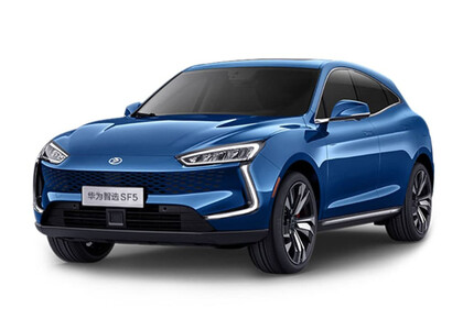 EVA коврики на Seres SF5 2019&nbsp;-&nbsp;2022 в Тюмени