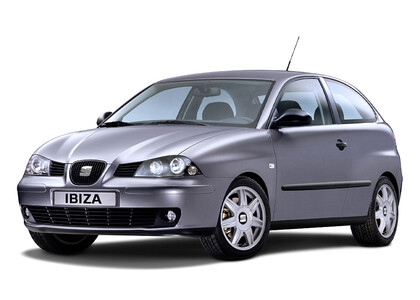 Ворсовые коврики на Seat Ibiza III 2001 - 2008 в Тюмени