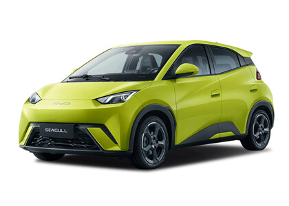 EVA коврики на BYD Seagull 1 2023 - 2026 в Тюмени EVA коврики на BYD Seagull 1 2023 - 2026 в Тюмени